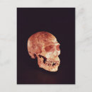 Suche nach paläolithisch poster Sapien