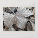 Suche nach frost postkarten Mattiert