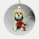 Suche nach havanese ornamente Ziern