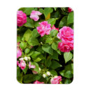 Suche nach doppeltes magnete Rosa
