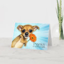 Suche nach cartoon chihuahua karten Chihuahuas