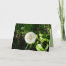 Suche nach samen karten Natur