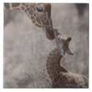 Suche nach giraffen fliesen Kenia
