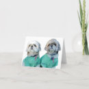 Suche nach shih tzu waren karten Gruß