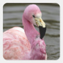 Suche nach gefangene aufkleber Rosa