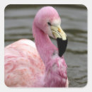 Suche nach gefangene aufkleber Tier