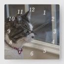 Suche nach draußen uhr poster wanduhren Tiere