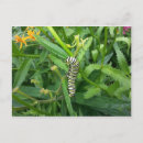 Suche nach monarch postkarten Schwarz