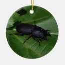 Suche nach fehler ornamente Insekten