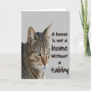Suche nach tabby karten Haustier
