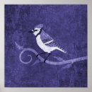 Suche nach jay poster Tiere