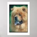 Suche nach chow chow poster Hund