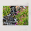 Suche nach chucks postkarten Glacier nationalpark
