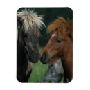 Suche nach miniatur magnete Bob langrish