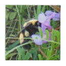 Suche nach bienen fliesen Bestäuber