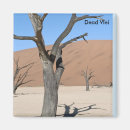 Suche nach dead Wüste