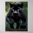 Suche nach exotische katzen poster Leopard
