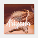 Suche nach arizona staat magnete Wüste