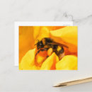 Suche nach hummel postkarten Blume