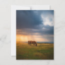 Suche nach stürmisch andere postkarten Sturm