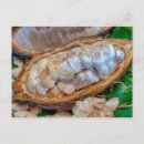 Suche nach hülsen postkarten Kakao