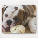 Suche nach drei tiere mousepads Länge mit drei vierteln