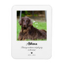 Suche nach hunde beileid magnete Dogs