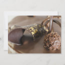 Suche nach choco Nahrung