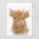 Suche nach highland cow postkarten Niedlich