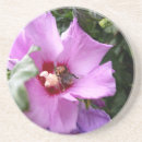 Suche nach hummeln untersetzer Blume
