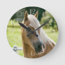 Suche nach haflinger poster Horse