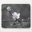 Suche nach kirschblüte mousepads Natur