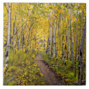 Suche nach mountainbiker untersetzer Herbst