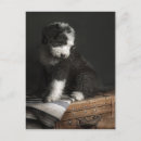 Suche nach alte englische postkarten Alter englischer schafhund