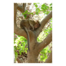 Suche nach affe baum poster Dschungel