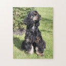 Suche nach spanisch puzzle Spaniel
