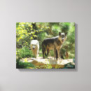 Suche nach grauwolf leinwandbilder Hunde