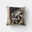 Suche nach baby waschbär kissen Süß