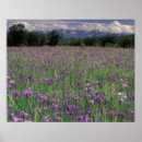 Suche nach anchorage poster Natur