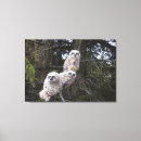 Suche nach gleichgewicht leinwandbilder Spaß