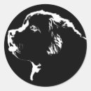 Suche nach neufundland aufkleber Haustiere