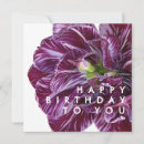 Suche nach lila tulpen karten Blumen