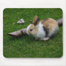 Suche nach weißes kaninchen mousepads Brötchen