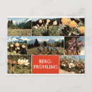 Suche nach frühlings blumen postkarten Wildblumen
