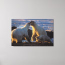 Suche nach 1002 Alaska