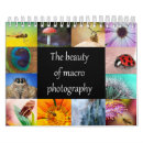 Suche nach makrophotographie Fotografie