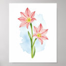 Suche nach amaryllis poster Aquarell