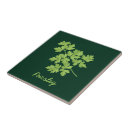 Suche nach petersilie fliesen Grün