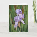 Suche nach impressionismus karten Künstlerisch