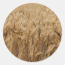 Suche nach route 66 aufkleber Kamericana